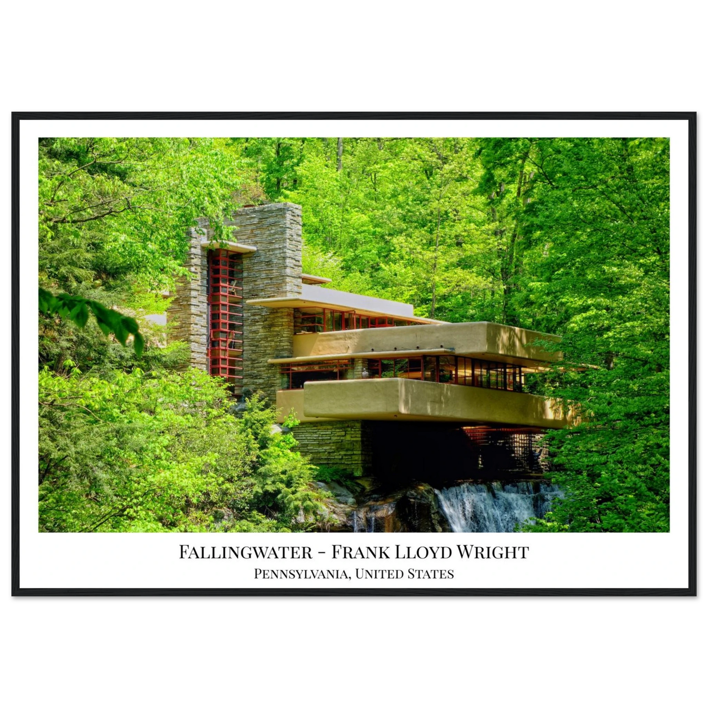 fefbaf49-4794-4d20-8911-f720c7185bbc